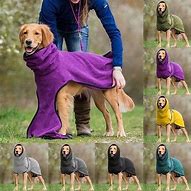 Image result for shoes for dogs