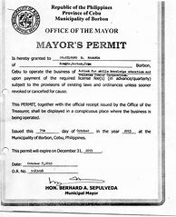 Image result for Mayor'S Permit