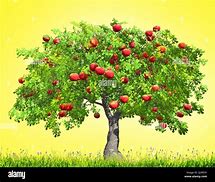Image result for Red Apple Tree Leaves