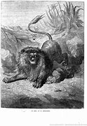 Image result for Fairy Tales Lion