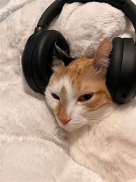 Image result for Cute Aesthetic Headphones