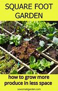 Image result for Square Foot Garden Herbs