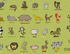 Image result for How Do You Spell Mammal