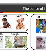 Image result for Sense of Touch Cold