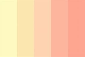 Image result for Pink Yellow Color Palette