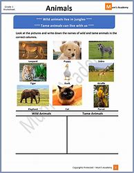 Image result for Animals Worksheet for Grade 1
