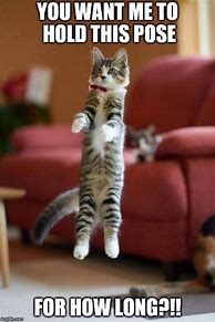 Image result for Excited Jumping Cat Meme