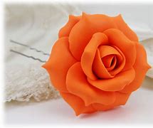Image result for Rose Hairpin