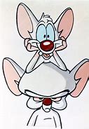 Image result for Pinky and the Brain Cartoon Network