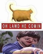 Image result for OH Lawd He Coming Cat
