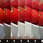 Image result for iPhone Camera Bump Evolution