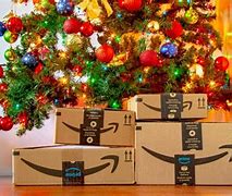 Image result for Summer Amazon Holiday