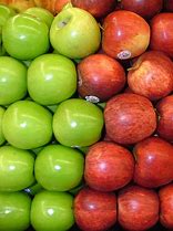 Image result for Red Apple Vector