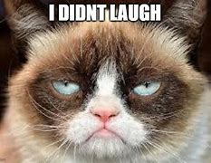 Image result for I'm Not Laughing at You Meme