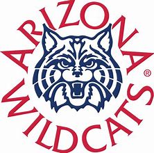 Image result for University of Arizona Wildcats Football