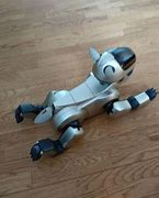 Image result for Aibo 210