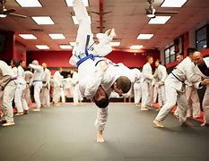 Image result for Martial Arts Training Ground Amazon's