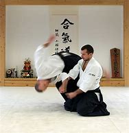 Image result for Japan Martial Arts