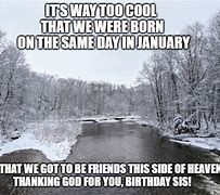 Image result for January Birthday Memes