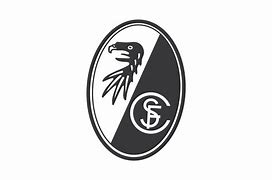 Image result for Logo Face Freiburg