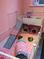 Image result for Guinea Pig Cage Bedding