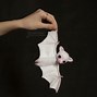 Image result for Baby Albino Bat Doll