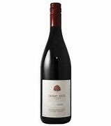 Image result for Fille Gamay Noir Cherry Grove