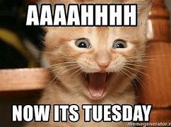 Image result for Funny Super Tuesday
