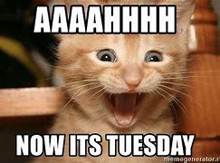 Image result for Be Happy Its Tuesday Meme