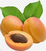 Image result for Dried Apricots Clip Art