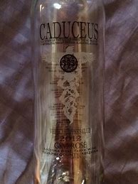 Image result for Caduceus Pinot Noir Velvet Slippers Club
