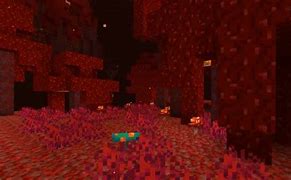 Image result for Minecraft Nether Update Version