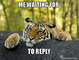 Image result for Waiting for Reply Meme