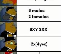 Image result for Math Meme Timplat