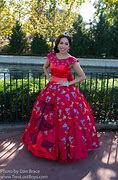 Image result for Disney Princess Elena of Avalor