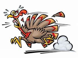 Image result for Thanksgiving Turkey Running