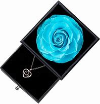 Image result for Preserved Real Rose with Necklace