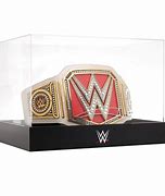 Image result for WWE Cases
