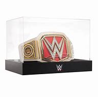 Image result for WWE Title Belt Case