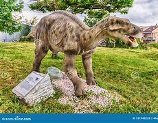 Image result for Iguanodon Thumb