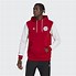 Image result for Ajax Amsterdam Hoodie