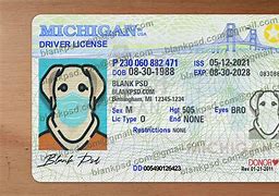Image result for Michigan Driver's License