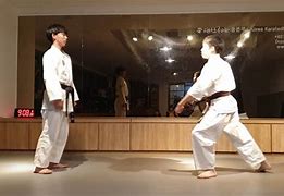 Image result for Secrets of Korean Karate