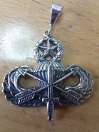 Image result for Special Forces Silver Wings
