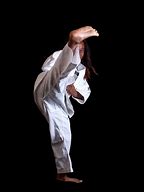 Image result for Shotokan Karate Martial Arts