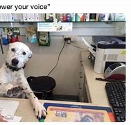 Image result for Tech Problem Dog Meme