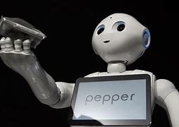 Image result for Pepper Robot with Wig