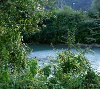 Image result for Afon Tanat