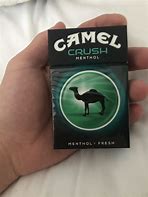 Image result for Types of Camel Crush