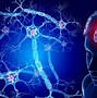 Image result for Map Human Brain Neuron